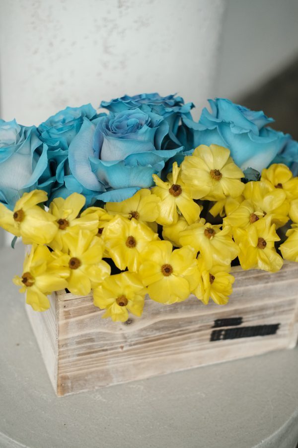 Yellow and Blue Arrangement
